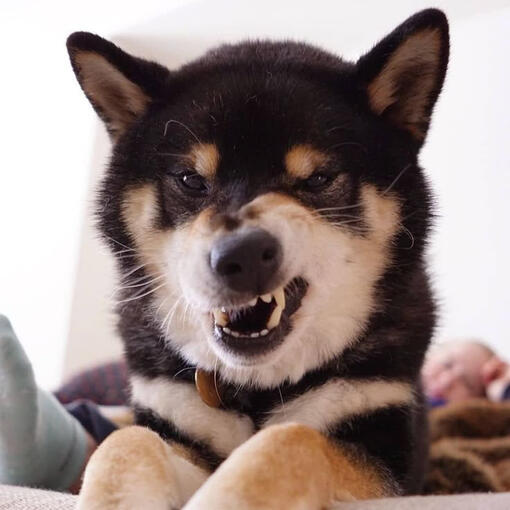 KaiSburb BY MY FRIEND, THE SMILEY!!!