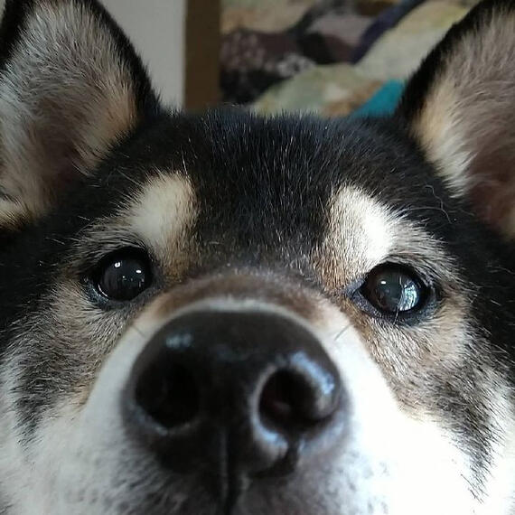 KaiSburb BY MY FRIEND, THE SMILEY!!!